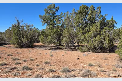 55688 N Latigo Road, Seligman, AZ 86337 - Photo 7