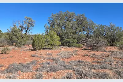 55688 N Latigo Road, Seligman, AZ 86337 - Photo 9