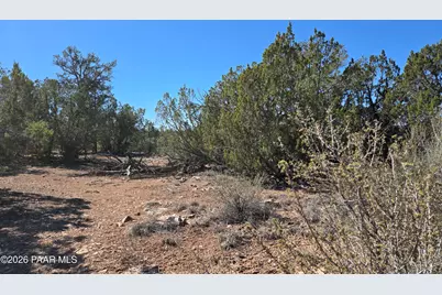 55688 N Latigo Road, Seligman, AZ 86337 - Photo 5