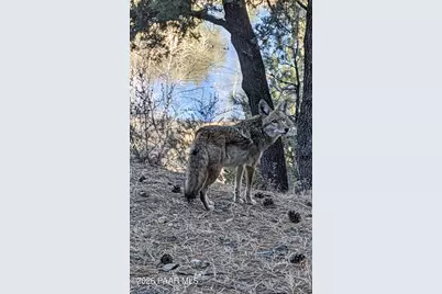3650 Lone Oak Court, Prescott, AZ 86305 - Photo 59