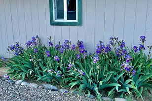 1221 W Poco Ln, Chino Valley, AZ 86323 - Photo 17