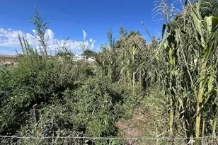 1440 W Rd 3 N, Chino Valley, AZ 86323 - Photo 35