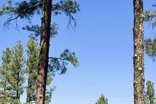 3169 W Crestview Dr, Prescott, AZ 86305 - Photo 47