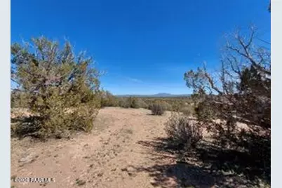 302-17-306 Haywire Road, Ash Fork, AZ 86320 - Photo 5