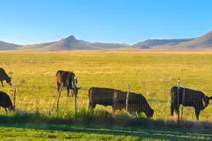 12960 N Lodestar Rd, Prescott Valley, AZ 86315 - Photo 25