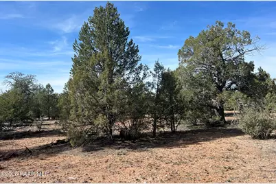 5 Deer Droppings, Ash Fork, AZ 86320 - Photo 5
