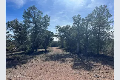 5 Deer Droppings, Ash Fork, AZ 86320 - Photo 13