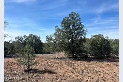 5 Deer Droppings, Ash Fork, AZ 86320 - Photo 7