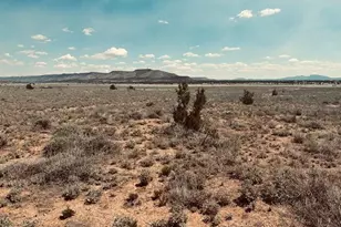 28551 W Hondo Rd, Seligman, AZ 86337 - Photo 1