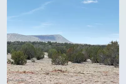 00 W Flor Lane, Seligman, AZ 86337 - Photo 13