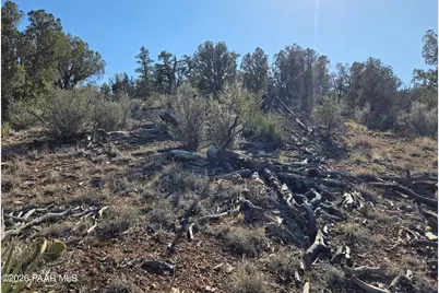 446 Arizona Road, Ash Fork, AZ 86320 - Photo 9