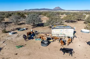 10777 Raging Crab Rd, Ash Fork, AZ 86320 - Photo 27