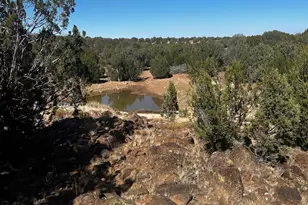 10777 Raging Crab Rd, Ash Fork, AZ 86320 - Photo 31