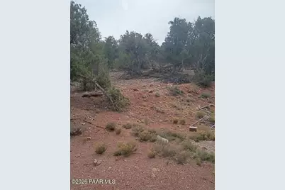 36299 W Rocking Dog Road, Seligman, AZ 86337 - Photo 53