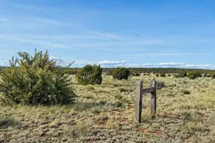 78 N Miller Rd, Seligman, AZ 86337 - Photo 1
