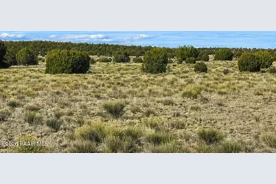 78 N Miller Road, Seligman, AZ 86337 - Photo 3