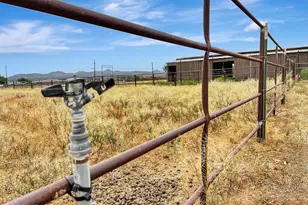 25055 N Naples St, Paulden, AZ 86334 - Photo 3