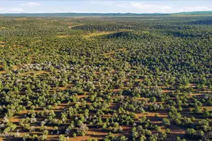 8602 N Ten Tanks Rd, Williams, AZ 86046 - Photo 1