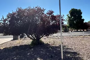 526 Grove Ln, Chino Valley, AZ 86323 - Photo 35