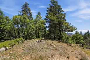 01 Forest Service Rd, Prescott, AZ 86303 - Photo 23