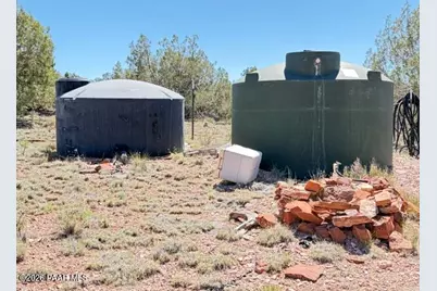 64550 N Flaming Star Drive, Seligman, AZ 86434 - Photo 11