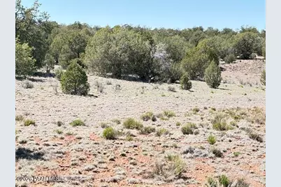 64550 N Flaming Star Drive, Seligman, AZ 86434 - Photo 33