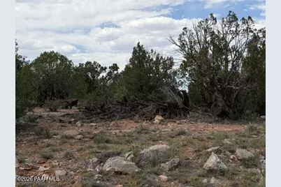 3883 N Shadow Mountain Parkway, Seligman, AZ 86337 - Photo 9