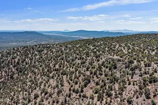 33749 W Whiskey River Rd, Seligman, AZ 86337 - Photo 39