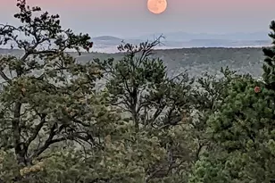 33749 W Whiskey River Rd, Seligman, AZ 86337 - Photo 43