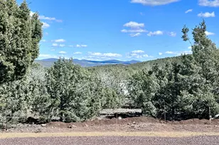 2467 Coconino Blvd, Williams, AZ 86046 - Photo 13