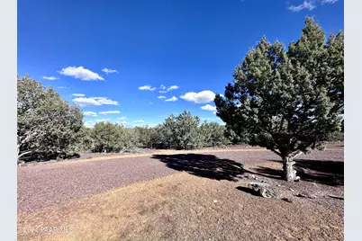 2467 Coconino Boulevard, Williams, AZ 86046 - Photo 11