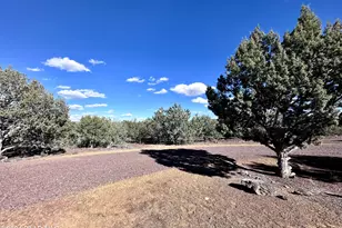 2467 Coconino Blvd, Williams, AZ 86046 - Photo 11
