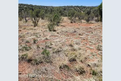 30673 W Echo Circle, Seligman, AZ 86337 - Photo 13