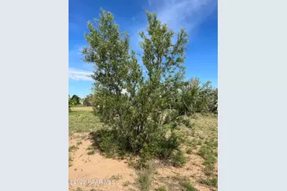 1201 W Justray Ranch Road, Chino Valley, AZ 86323 - Photo 39