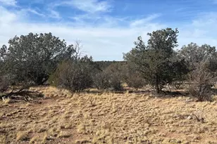 54506 N Shadow Mountain Circle, Seligman, AZ 86337 - Photo 1