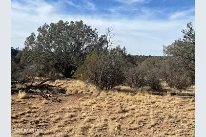54506 N Shadow Mountain Circle, Seligman, AZ 86337 - Photo 3