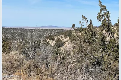 29740 W Rock Ridge, Seligman, AZ 86337 - Photo 5
