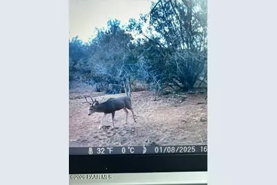 918 Wolf Road, Ash Fork, AZ 86320 - Photo 17
