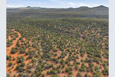 918 Wolf Road, Ash Fork, AZ 86320 - Photo 7