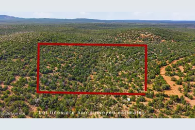 918 Wolf Road, Ash Fork, AZ 86320 - Photo 3