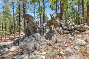 5140 E Charcoal Kiln Rd, Prescott, AZ 86303 - Photo 101