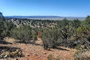 25713 W Medicine Man Trl, Seligman, AZ 86337 - Photo 19