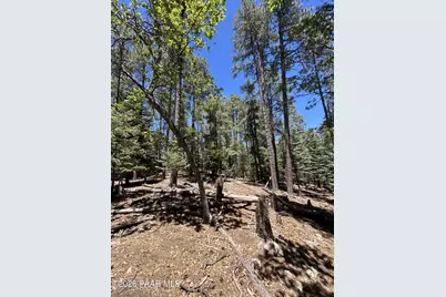 2475 E Summit Avenue, Prescott, AZ 86303 - Photo 5