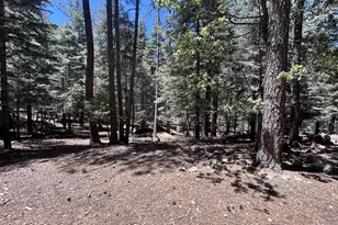 2475 E Summit Ave, Prescott, AZ 86303 - Photo 1