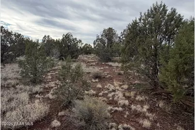 5527 N Randall Boulevard, Williams, AZ 86046 - Photo 3