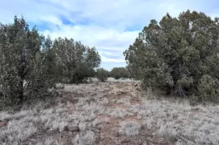 5589 N Randall Blvd, Williams, AZ 86046 - Photo 1