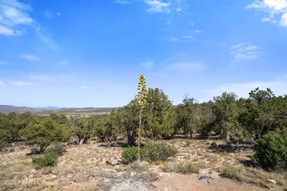 26100 W Moon Mountain Trail, Seligman, AZ 86337 - Photo 37