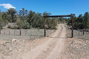 26100 W Moon Mountain Trl, Seligman, AZ 86337 - Photo 3