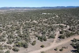 26100 W Moon Mountain Trl, Seligman, AZ 86337 - Photo 43