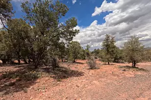 33867 W Whiskey River Rd, Seligman, AZ 86337 - Photo 49